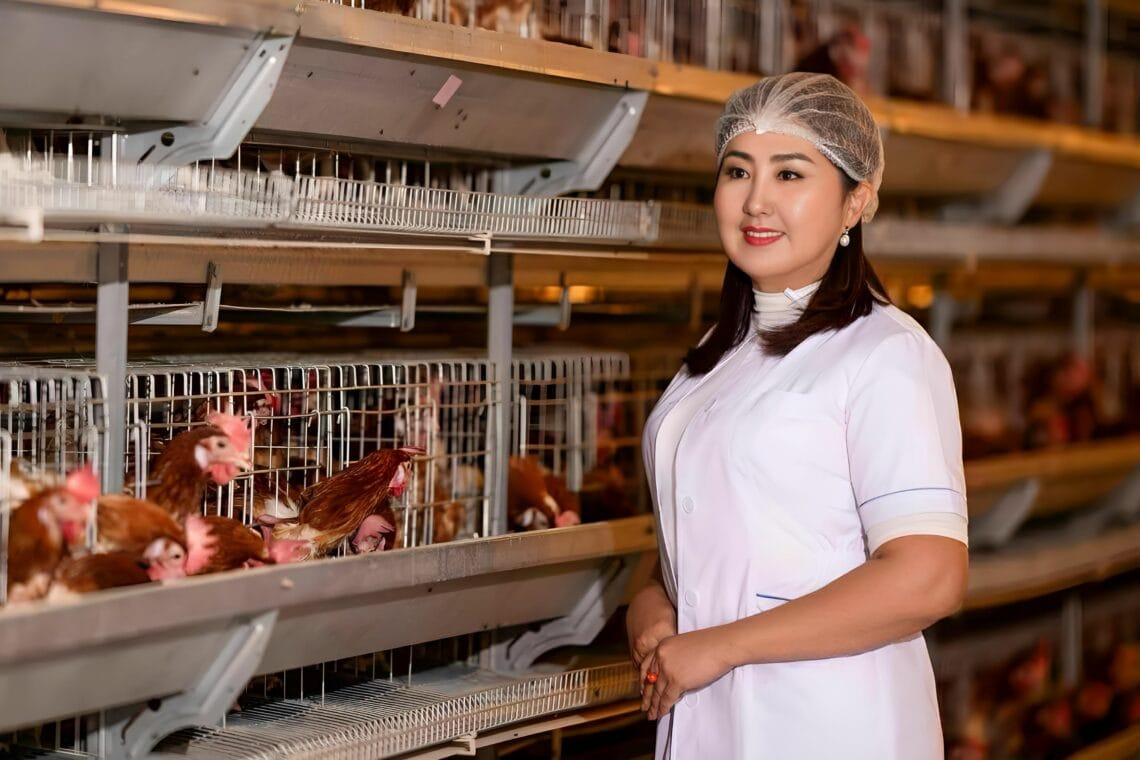 цахим шилжилт бол зөвхөн техник тоног төхөөрөмж худалдан авах асуудал бус, бизнесийн өсөлтийг баталгаажуулах стратегийн шийдвэр