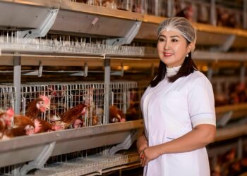 цахим шилжилт бол зөвхөн техник тоног төхөөрөмж худалдан авах асуудал бус, бизнесийн өсөлтийг баталгаажуулах стратегийн шийдвэр