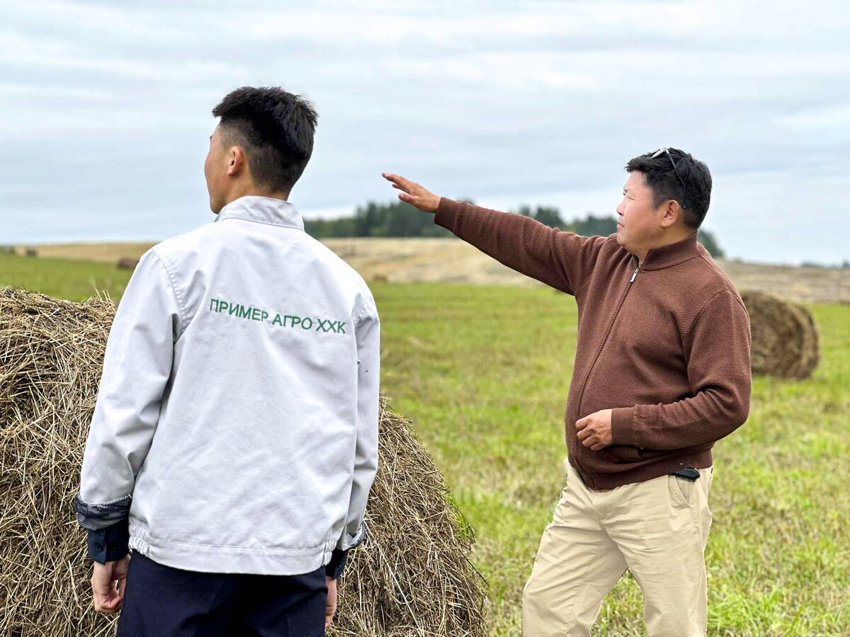 Цөлжилтийг сааруулах НОГООН бизнес
